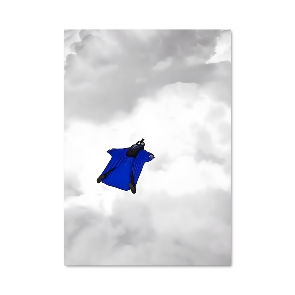 Poster Voleur des Cieux